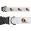 Small 'Cavalier King Charles' Dog Collar (PR00025115)