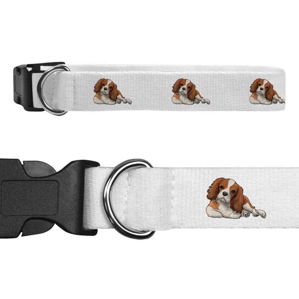 Small 'Cavalier King Charles' Dog Collar (PR00025115)