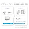 Kashimura NAJ-647 USB PD 100W Fast Charging! Type-C to Type-C Cable, 6.6 ft (2 m)