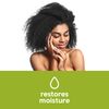NutraBlast Tea Tree Oil Suppositories (12 Count) | All Natural Intimate Deodorant for Women | Restore Feminine pH Balance | Made in USA