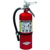 AMEREX B402 Fire Extinguisher,S
