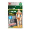 Vantelin Supporter for Waist Black Regular 1 Pack