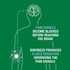 3 Pack Biofreeze Pain Relief Patches, Knee & Lower Back Patch, 5 Count