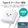 erekomu Charger AC Adapter USB Type C Folding Plug (2.1 A Output) 1.5 m