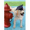 Dog Making Mark On A Fire Hydrant Funny Graduation Congratulations Card