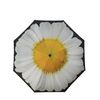 Everyday Inside Out Umbrella White Daisy Stick
