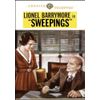 Sweepings