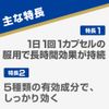 【指定第2類医薬品】アネロン「ニスキャップ」 6カプセル