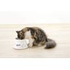 Richell Spill Resistant Cat Dish with Stem, White, Small