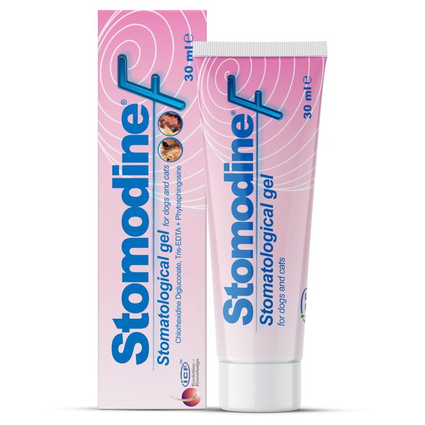 ICF | Stomodine F | Cat & Dog Toothpaste | Meat Flavour | Fights Plaque & Bad Breath | Healthy Dental Oral Hygiene | Easy to Use Teeth Cleaner for Pets