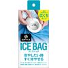 ICEBAG Small Size x 5 Pcs