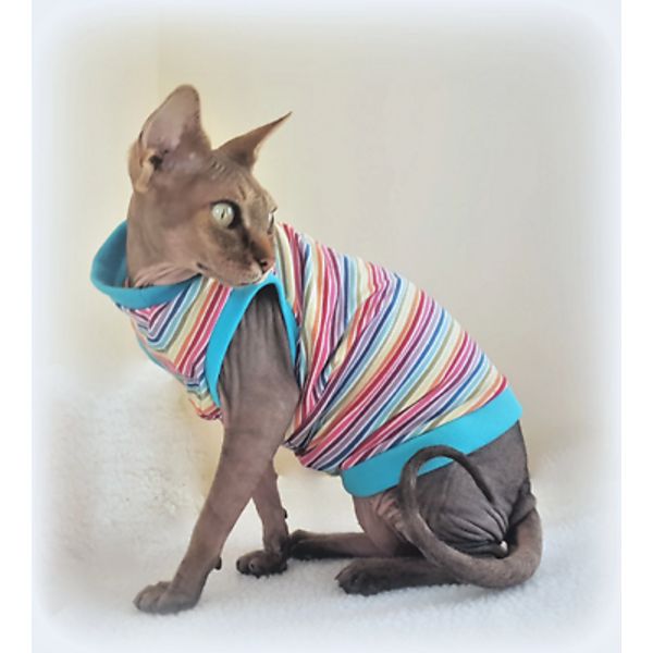 kitten RAINBOW  stretchy top for a Sphynx  cat clothes, pet jumper HOTSPHYNX