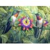 CALVENDO Puzzle Hummingbirds | Size