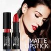 12 Colours Vintage Waterproof Vivid Vampire Matte Lipstick Set, BEEXY Long Lasting Velvet Lip Stick for Party, Masquerade, Cosplay, Halloween Makeup