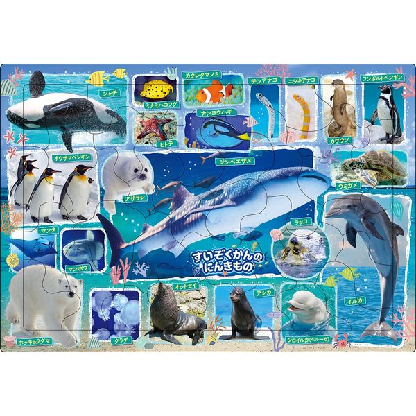 EPOCH 25-232 Apollo Picture Puzzle, 35 Piece Puzzle for Kids