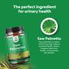 Extra Strength Saw Palmetto Extract - Advanced Saw Palmetto for Women and Men's Hair Growth and Urinary Support with Plant Sterols and Flavonoids - 500mg Herbal Saw Palmetto Supplement - 100 Capsules