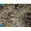Mullein + Raspberry Leaf Healing Medicinal Organic Herbal Tea Mix 2 lb's POUND's