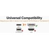 Amber USB-C Type to DisplayPort Adapter + DisplayPort Cable 6Ft