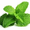 Herbal Remede Advanced Cooling & Heating Essential Oil Roll-On 100% Hemp