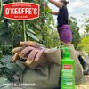 O'Keeffe's Working Hands Hand and Body Lotion - 12 oz Pump (1 Pack) -...