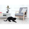 ⭐️Petcube Play Smart Pet Camera Interactive Laser Toy Remote Dog/Cat BLACK✅