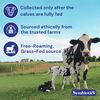 Symbiotics Colostrum 120ct Chewables Plus - Immunity Support for Adult & Kids - Lactoferrin Supplement & Colostrum Protein - Supports Digestion & Gut - 25% lgG Antibodies, Gluten Free - Orange Creme