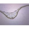 EISCO Monocot Leaf Cross Section - Prepared Microscope Slide - 75 x 25mm - Biology & Microscopy