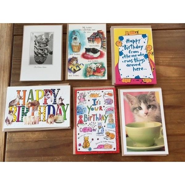 LOT OF 19 CAT THEMED BIRTHDAY CARDS & ENVELOPES CARLTON CARDS PETS UNLEASHED