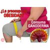 Ganoderma  reishi LIQUID EXTRACT SUPPLEMENT Blood Sugar Levels Fast Acting 60 ML