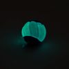 Zeus Duo Ball 6.3 cm with Squeaker and Glo