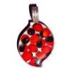 Beautiful Peruvian Huayruro Seeds Pendant