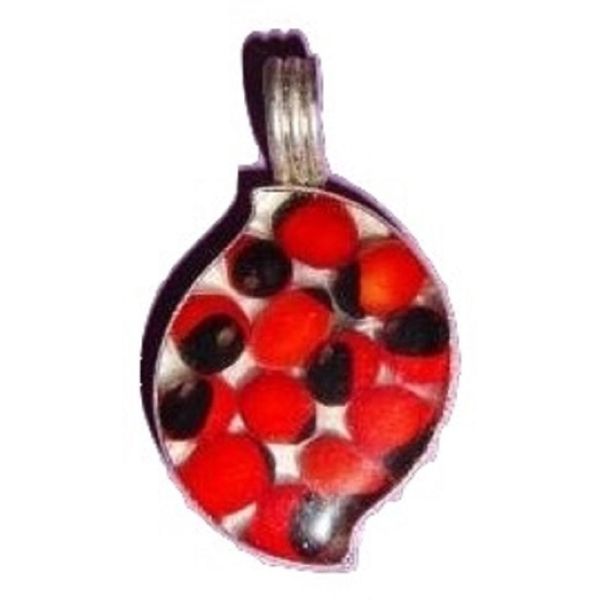 Beautiful Peruvian Huayruro Seeds Pendant