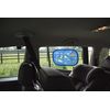 LittleLife Car Window Shades, Dinosaur