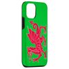 iPhone 12/12 Pro Wales Flag Red Dragon Case