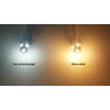 10-pack. T10 socket LED bulbs for all 12V AC or DC landscape lights - warm white