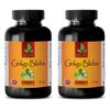 Baiguo Extract - GINKGO BILOBA EXTRACT 120mg - Anti-Aging 2B
