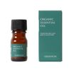 Life Tree Organic Geranium Essential Oil 0.1 fl oz (3 ml)