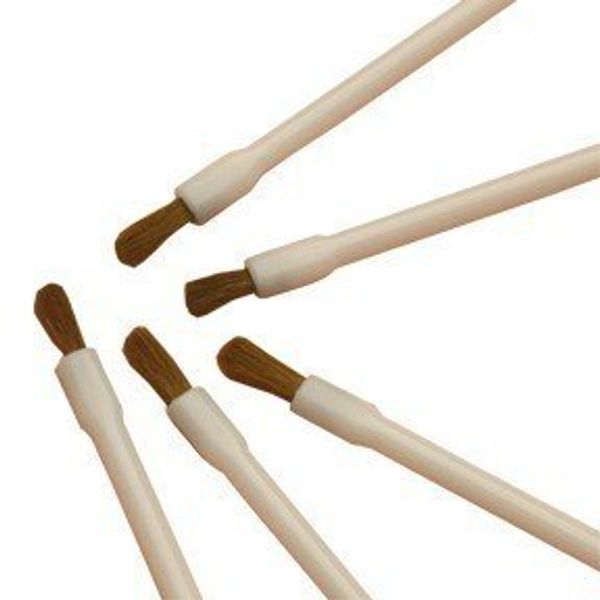 Hive Lip Brushes (Disposable x 25)