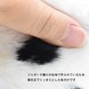 Dalmatian 28 bh6724
