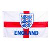 2022 Team Merchandise 5ft x 3ft Flag