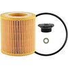 Hastings LF695 Lube Element