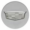 GM Genuine 23491795 Center Cap