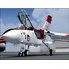 Flight Simulator X - Panavia Tornado Special Edition - [PC]