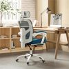 Swivel Mesh Office Chair Ergonomic with Adjustable High Back and Lumbar Support
