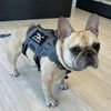 KILONINER JOLLY ROGER PATCH Patch, Military Patch, For Pets, Dogs, Cats, Stylish, Cute, Black/White, S