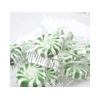 Spearmint Starlites 2lb