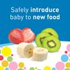 Dr. Brown's Designed to Nourish, Fresh Firsts Silicone Feeder, Grey, One Size