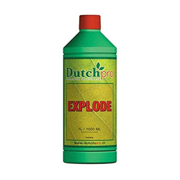 Dutch Pro 1 Litre Promotes Healthy Roots (Explode)