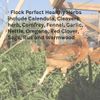 Flock Perfect Healthy Herbs, 12oz