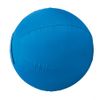 Weaver Leather Stacy Westfall Activity Ball Cover, Medium, Blue